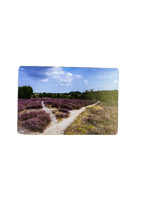 Magnet - Bild 7