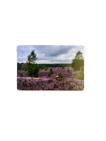 Magnet - Bild 2