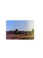 Magnet - Bild 10